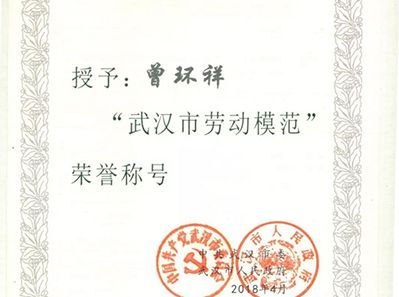 公司副總經(jīng)理曾環(huán)祥被評為武漢市“勞動(dòng)模范”